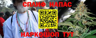 Альфа ПВП Краснознаменск