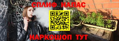 стафф Краснокаменск