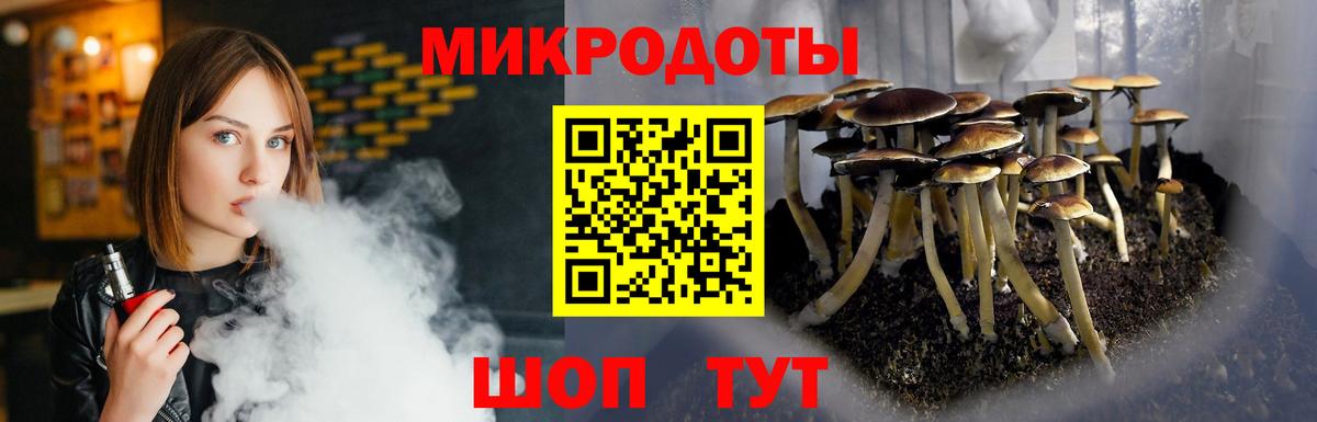 Галлюциногенные грибы прущие грибы Кимовск