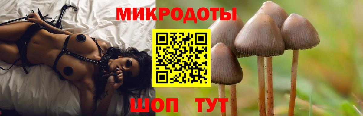 где купить   Псилоцибиновые грибы Psilocybe  Вход с VPN  Кимовск 